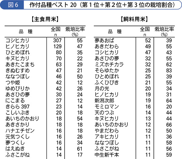 米調査2019-06