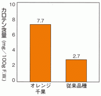 オレンジ千果と従来のミニトマトのカロテン含有量の差