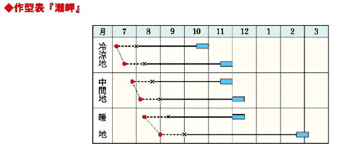 作型表『潮岬』