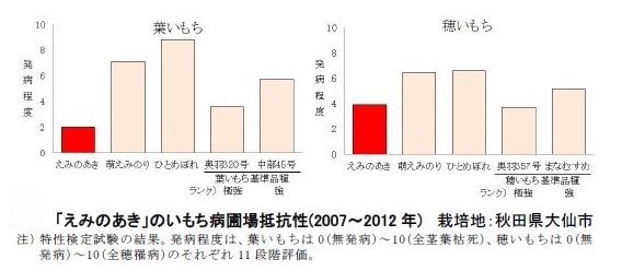 いもち病に強く直播栽培に適した「えみのあき」
