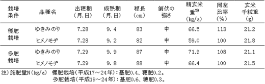 米菓用の新品種「ゆきみのり」