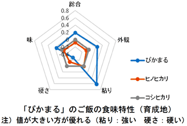 「ぴかまる」のご飯の食味特性（育成地）