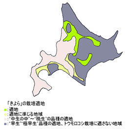 「きよら」の栽培適地