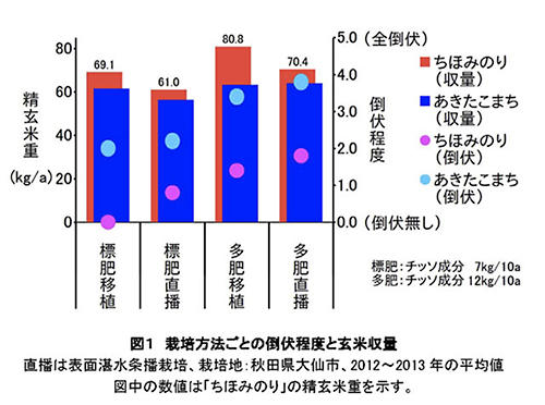 図１　栽培方法ごとの倒伏程度と玄米収量