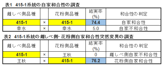 表１　415-1系統の自家和合性の調査（上）、表２　415-1系統の雌しべ側・花粉側自家和合性突然変異の調査