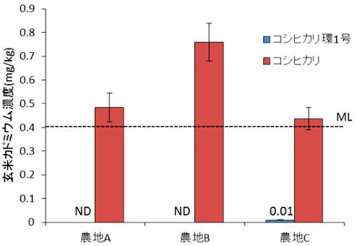 カドミウムをほとんど含まない「コシヒカリ」