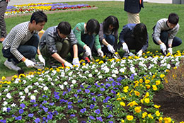 花壇の植え込みに参加したＪＡグループ職員ら