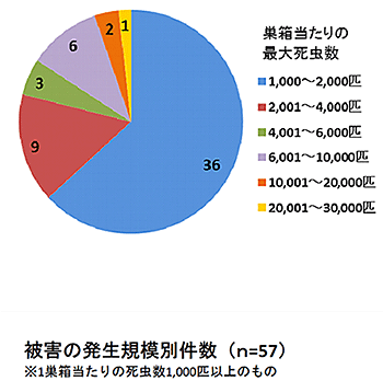 被害発生規模別件数※１巣箱当たりの死虫数1000匹以上のもの