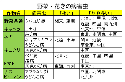 トビイロウンカ、果樹カメムシ類が多い予報