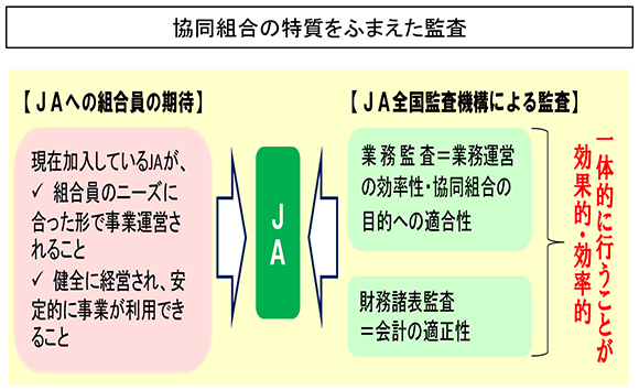 協同組合の特質をふまえた監査