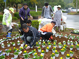 １日の植栽活動のようす