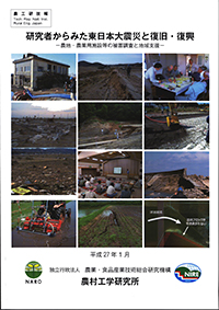 研究者からみた東日本大震災と復旧・復興