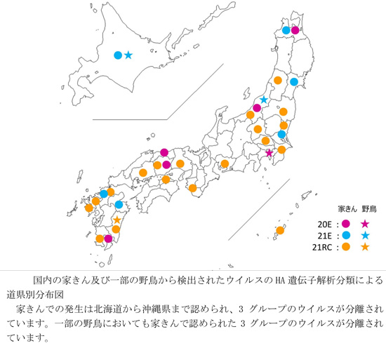 国内の家きん及び一部の野鳥から検出されたウイルスのHA遺伝子解析分類による道県別分布図