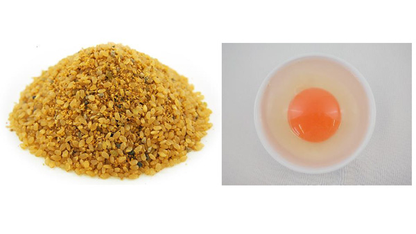 穀類をすべて米に置き換えた鶏用配合飼料と鶏卵。卵の見た目は一般的な卵と変わらない