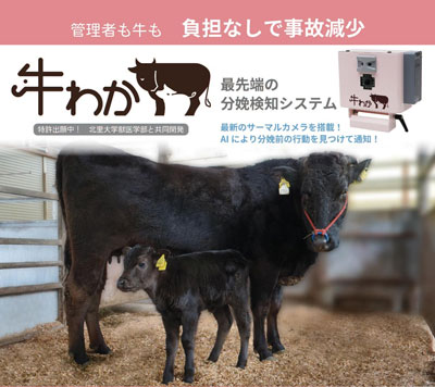 牛の分娩検知システム「牛わか」レンタルプラン　数量限定で開始　ノーリツプレシジョン