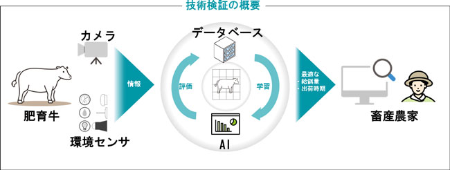 技術実証の概要