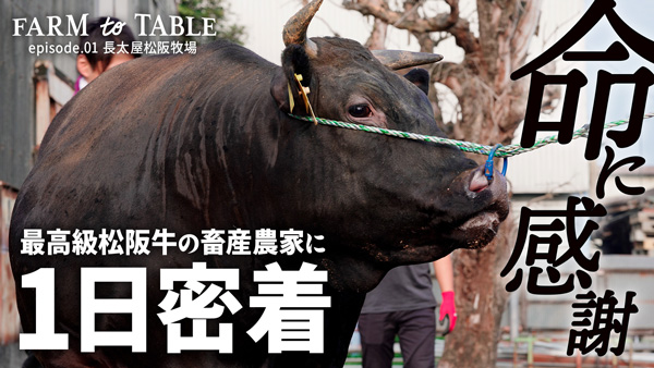 第2弾動画の「『毎日食べたい豚肉』を届ける・株式会社十勝野ポーク」