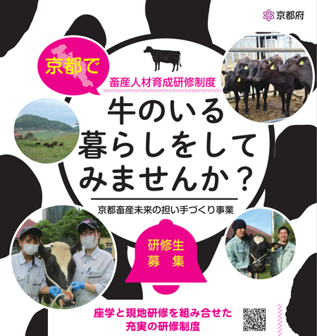 畜産ノウハウ習得・就農をサポート「畜産人材育成研修」募集開始　京都府