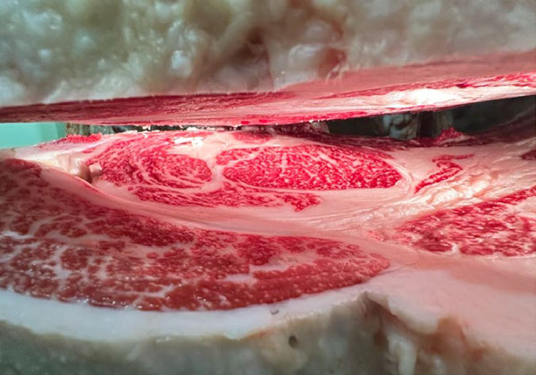環境に配慮したあか牛の付加価値化を検証