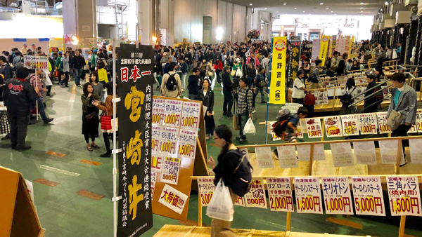 東京食肉市場まつり2018の様子