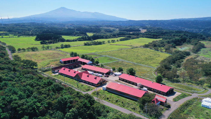 秋田由利牛は鳥海山を望む豊かな自然の中で育つ