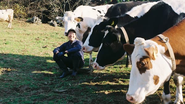 気仙沼で持続可能な畜産「アニマルウェルフェア」に挑戦　小野寺ファーム