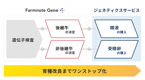 ジェネティクスサービスについて