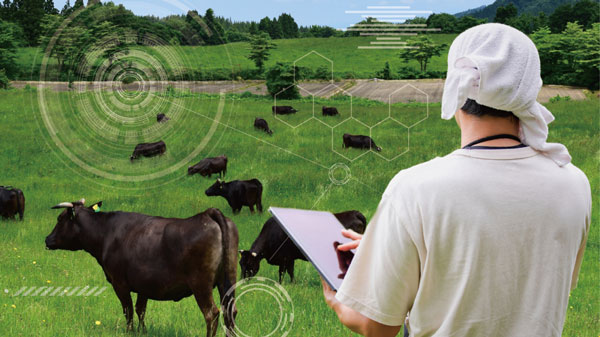 畜産農業のスマート化へ　共同研究プロジェクトが「共同講座創造支援事業」に採択　阪南大学