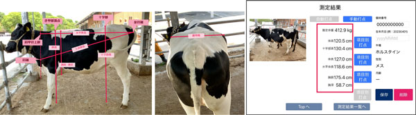 牛の体尺・体重推計データを可視化 畜産業の生産性向上と経営効率を支援 BIPROGY