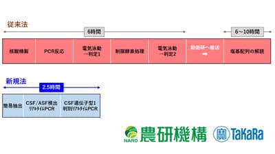 豚熱ウイルス野外株とワクチン株を識別　新たな遺伝子検査法を開発　農研機構×タカラバイオ