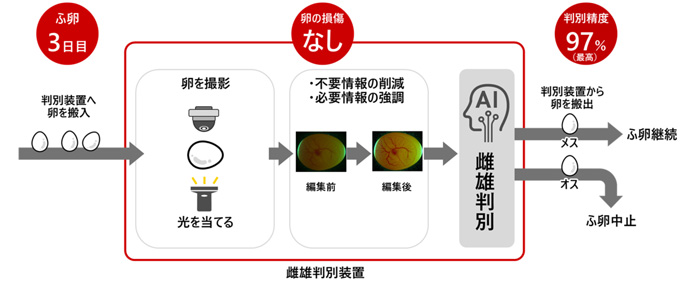 図：開発した卵内雌雄判別技術
