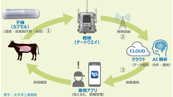 システム概要