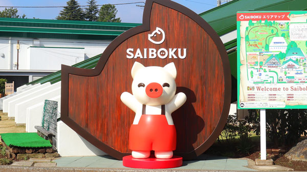 埼玉県日高市の豚のテーマパーク「サイボク」GW「とこトンまつり」開催