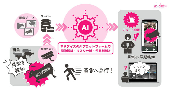 牛の転倒事故死「自律型AI」で検知・防止　愛媛県で実証実験　アドダイス