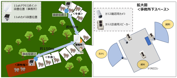 実証実験イメージ図