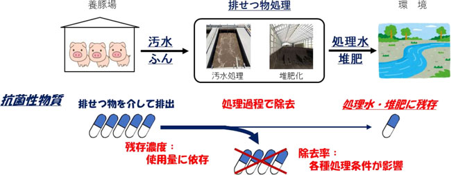 養豚場の汚水処理や堆肥化が抗菌性物質の環境排出を低減　農研機構