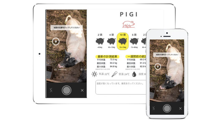 AI家畜管理サービス「PIGI」オンラインセミナー開催　コーンテック