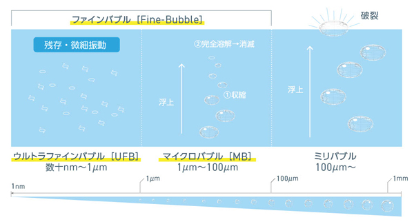 UFBの概念図