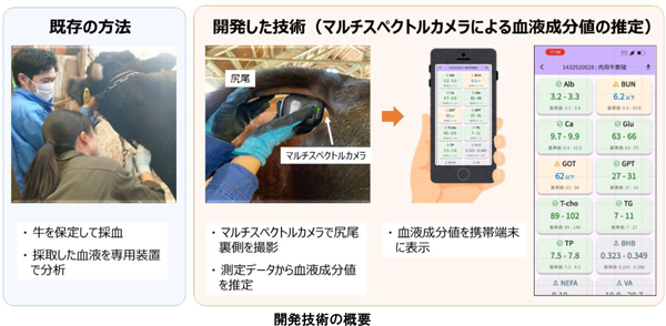 開発技術の概要