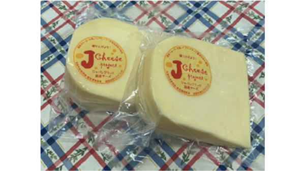 Jチーズスターターを使用して製造したゴーダチーズ