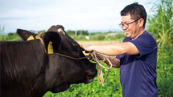 島育ちの魅力を全国へ　鹿児島・ヨロン島で母牛ブランド始動