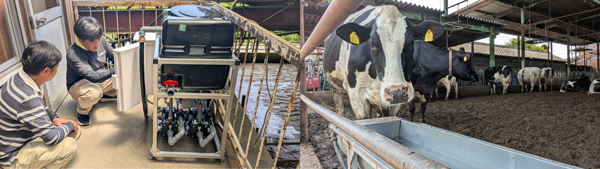 ウルトラファインバブル水活用で牛の飼養管理改善　カクイチと共同実証実験開始　デザミス