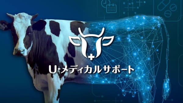 牛の総合診療サポートツール「U-メディカルサポート」提供開始