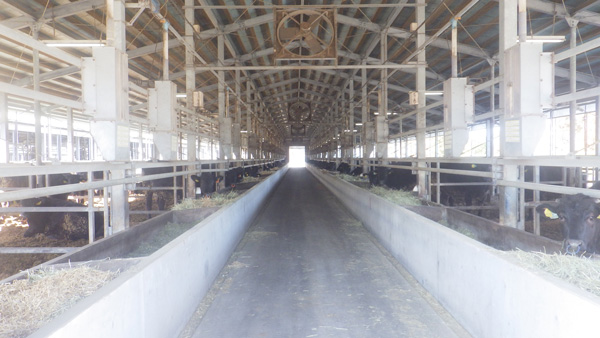 畜産現場での温室効果ガス削減へ　混合飼料「ルミナップ」提供　出光興産
