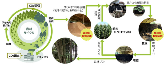循環型の酪農・林業のイメージ図