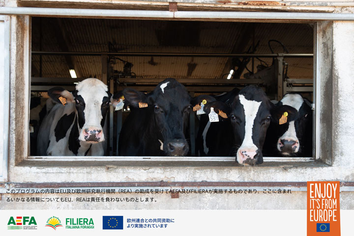 EU乾燥脱水飼料を活用した新たな取り組みにおける飼料ソリューションの探求