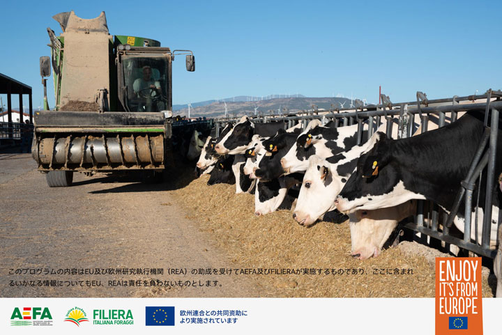 EU乾燥脱水飼料を活用した新たな取り組みにおける飼料ソリューションの探求