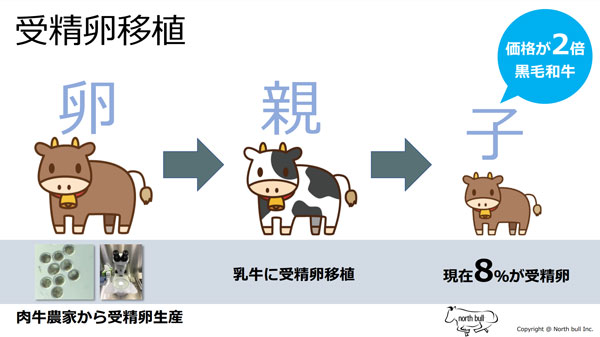 「和⽜受精卵」移植のノースブル　⿅児島県に受精卵の生産・買取の拠点を開設