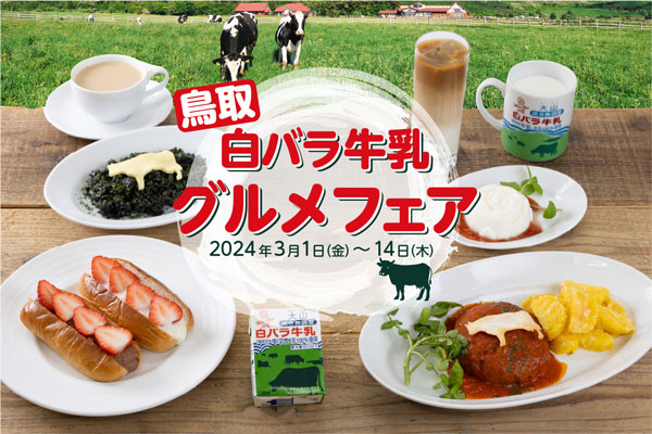 「白バラ牛乳」を贅沢に使用　3月1からグルメフェア開催　鳥取県