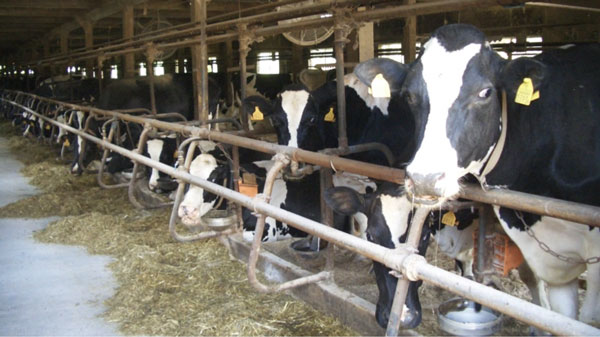 耕畜連携　長野県南牧村の取り組み学ぶ「農業研修会」開催　愛知県豊橋市